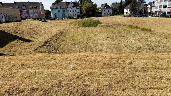 Maschinen statt Schafe: Stadt Velbert lässt Wildwiese auf Ex-Hertie-Areal mähen