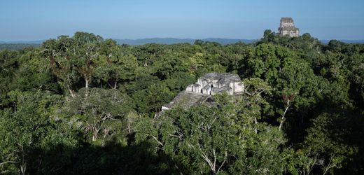 Maya-Stätte: Archäologen entschlüsseln Namen eines Astronoms und Mathematikers