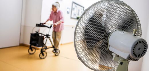 Hitze in Deutschland: Bund sieht Länder in der Pflicht