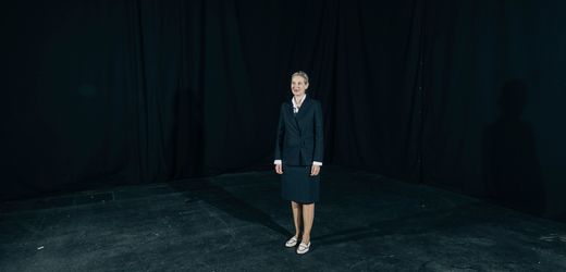 AfD-Parteitag in Erfurt: Alternative für Dreckwerfen