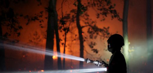 Paris: Was der Brand von Fontainebleau für Mensch und Natur bedeutet