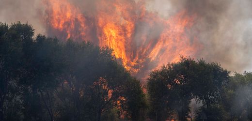 Spanien: 3500 Bewohner wegen Waldbrand bei Madrid aus ihren Häusern evakuiert