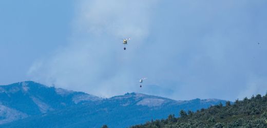 Spanien: Mehrere Gemeinden nahe Madrid müssen wegen Waldbrands evakuiert werden