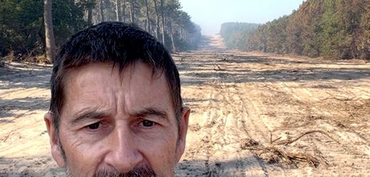 Waldbrände in Frankreich: Feuerwehr in Bordeaux schlägt Brandschneisen in den Wald