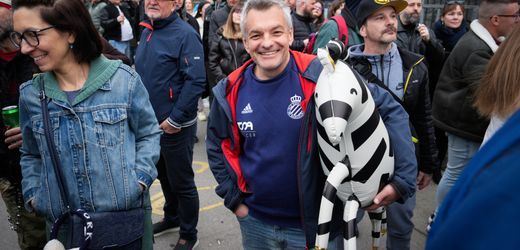 Ungarn: Minister will Untersuchung zu Zebras auf Grundstück von Viktor Orbáns Familie