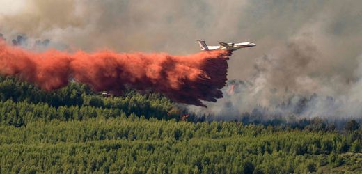Südfrankreich: Brände zerstören Hunderte Hektar Land