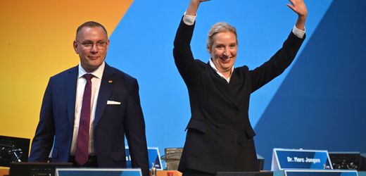 AfD in Erfurt: Weidel und Chrupalla als Parteichefs wiedergewählt