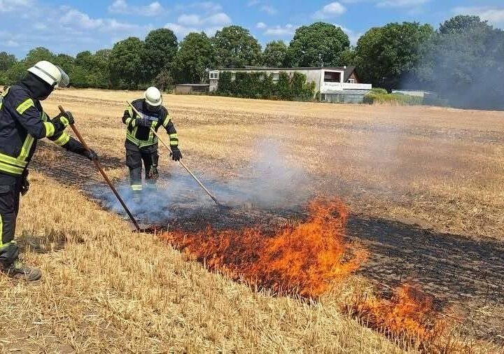 Sonsbecker Einsatzkräfte trainieren in Wald und Feld: Nach Serie von Vegetationsbränden – Feuerwehr übt für den Ernstfall