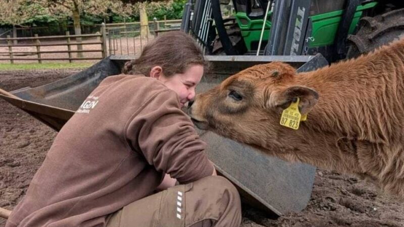 Ausbildung zum Tierpfleger: „Wer sonst kann nach Feierabend erzählen, einen Luchs gefüttert zu haben?“