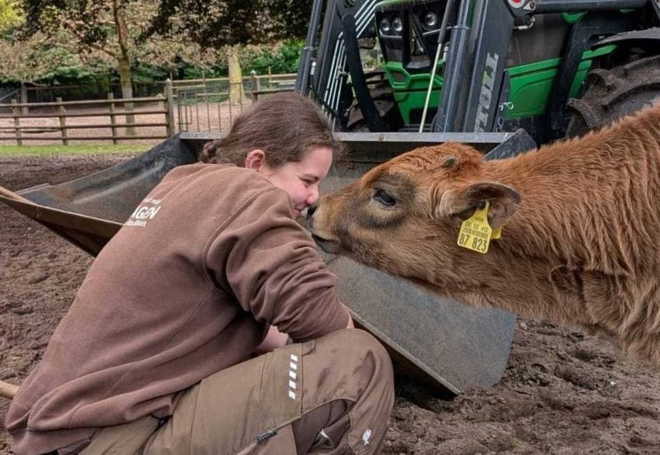 Ausbildung zum Tierpfleger: „Wer sonst kann nach Feierabend erzählen, einen Luchs gefüttert zu haben?“