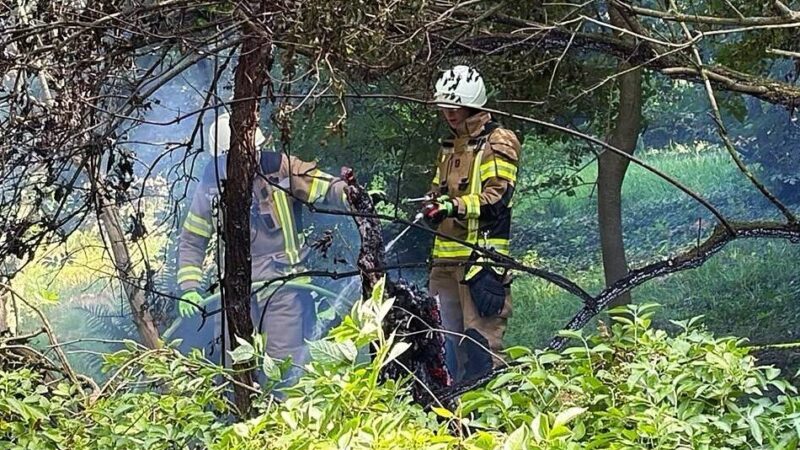 500 Quadratmeter in Nettetal: 40 Feuerwehrleute löschen Waldbrand