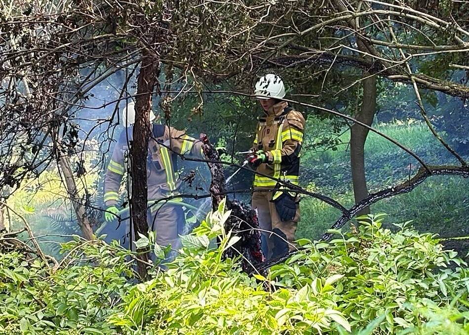 500 Quadratmeter in Nettetal: 40 Feuerwehrleute löschen Waldbrand