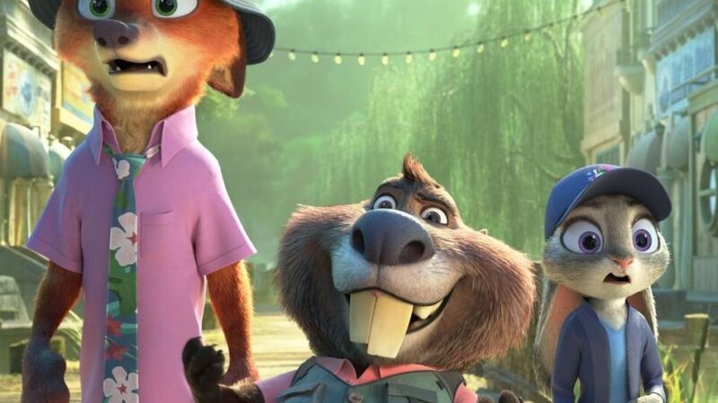 Open-Air-Kino Born 2026: Wenn der Schulhof zum Freiluftkino wird