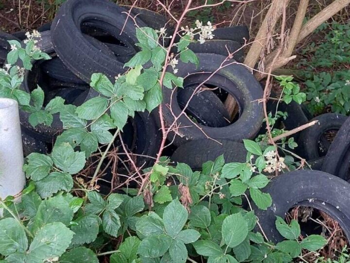 Wilder Müll in Kerken: Autoreifen und Farbeimer illegal in der Natur entsorgt