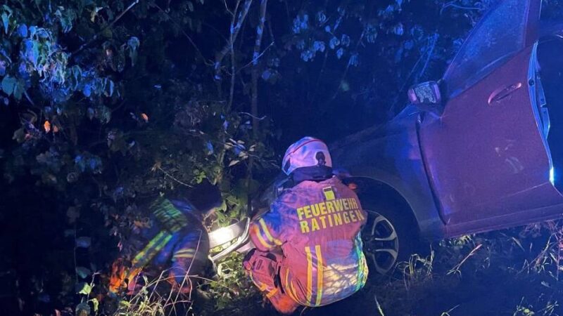 Unfall in Ratingen: Auto weicht Wildschwein aus und landet im Graben