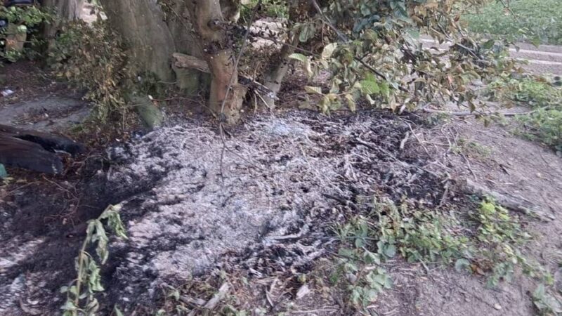 Feuerwehr in Korschenbroich: Erst drei Brände im Waldstück, dann Feuer auf einem Feld