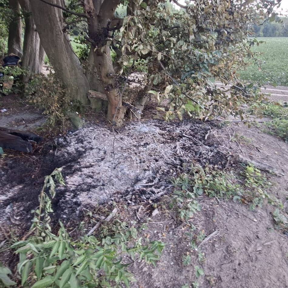 Feuerwehr in Korschenbroich: Erst drei Brände im Waldstück, dann Feuer auf einem Feld