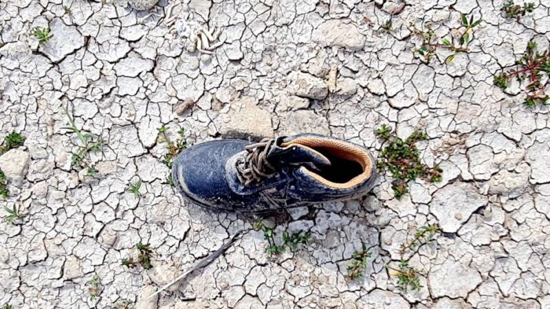 Heißer Sommer in Leverkusen: Fünf Stufen bis zur Krise – so funktioniert der neue Hitzewarnplan