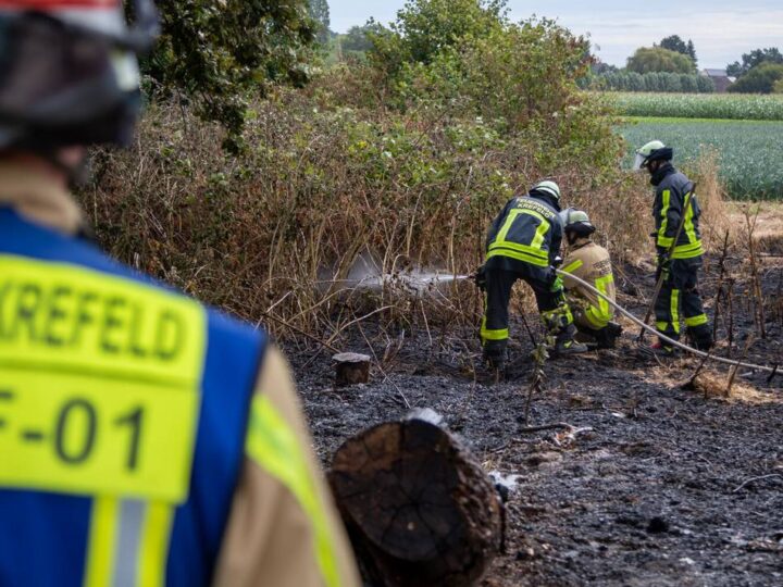 Einsatz in Krefeld: Feuerwehr löscht Flächenbrand in Hüls
