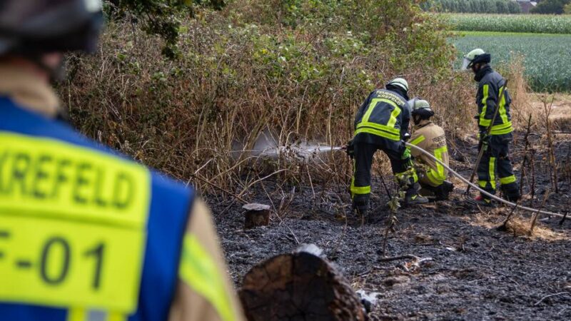 Einsatz in Krefeld: Feuerwehr löscht Flächenbrand in Hüls