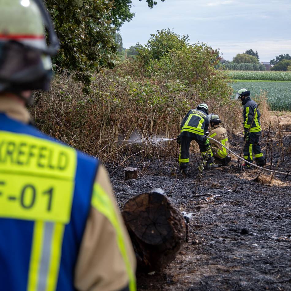 Einsatz in Krefeld: Feuerwehr löscht Flächenbrand in Hüls