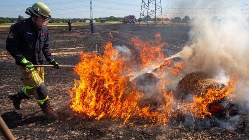 40 Kräfte im Einsatz: Feuerwehr löscht brennendes Feld in Krefeld