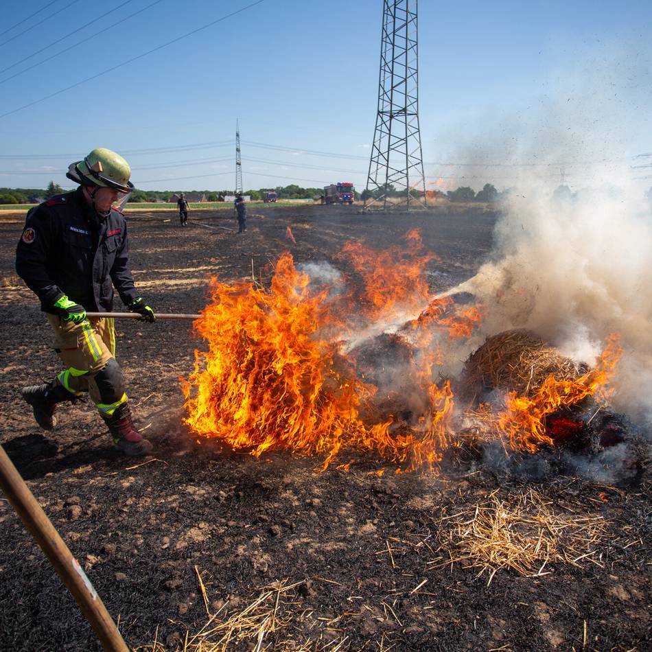 40 Kräfte im Einsatz: Feuerwehr löscht brennendes Feld in Krefeld