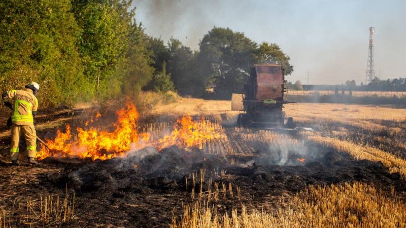 Flächenbrandgefahr steigt: Feuerwehr Krefeld warnt vor Brandgefahr auf Wiesen