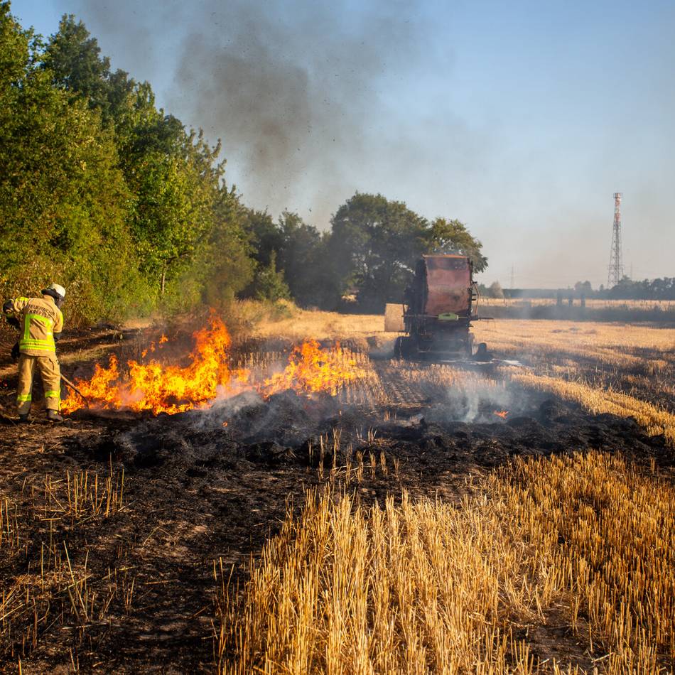 Flächenbrandgefahr steigt: Feuerwehr Krefeld warnt vor Brandgefahr auf Wiesen