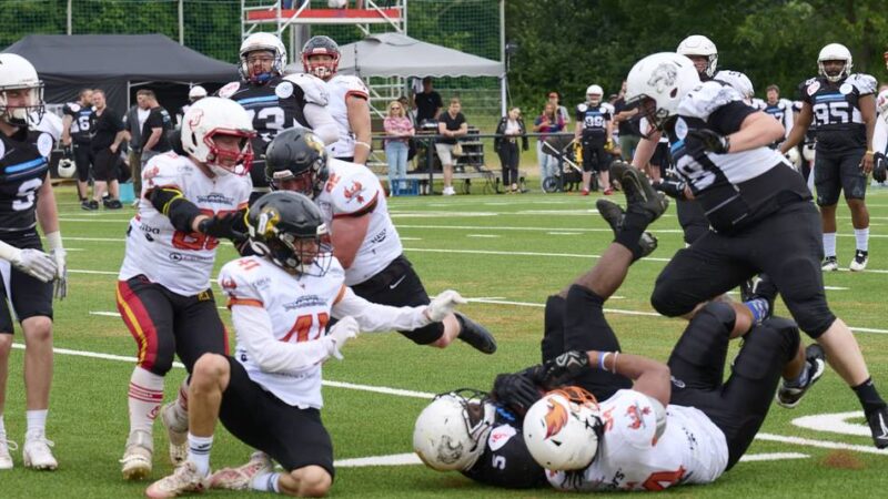 „Perfekte Saison“?: Footballer des Wolfpack haben eine Hand am Meistertitel