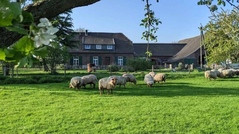 5. und 6. September: Hoffest mit viel Programm auf dem Naturhof Kevelaer