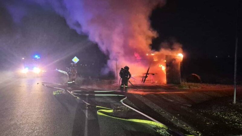 Feuerwehreinsatz in der Nacht: Erdbeerhäuschen in Meerbusch niedergebrannt
