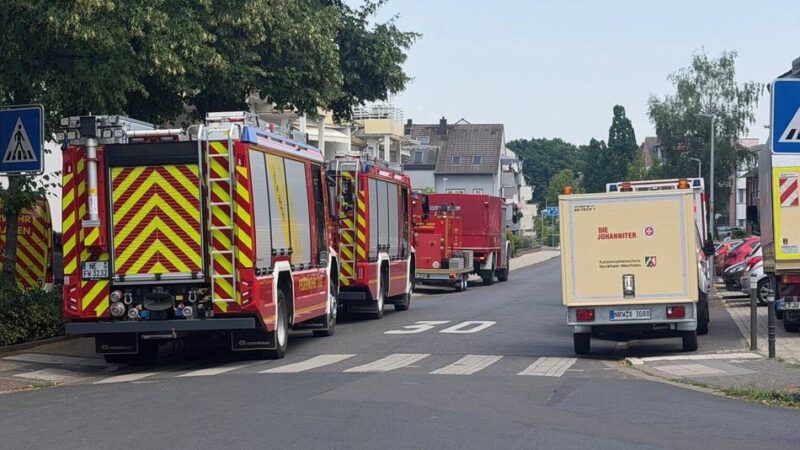 Hitze-Vorfall im Dormagener Alloheim: Grüne wollen Klimaanlagen in allen Sozialeinrichtungen
