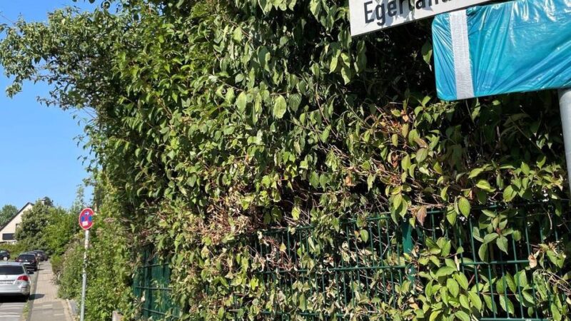 Elterntaxis in Mettmann: Mettmann kämpft mit Einbahnstraßen gegen Elterntaxis