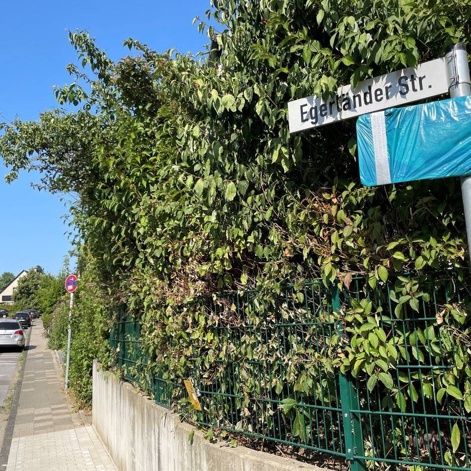Elterntaxis in Mettmann: Mettmann kämpft mit Einbahnstraßen gegen Elterntaxis