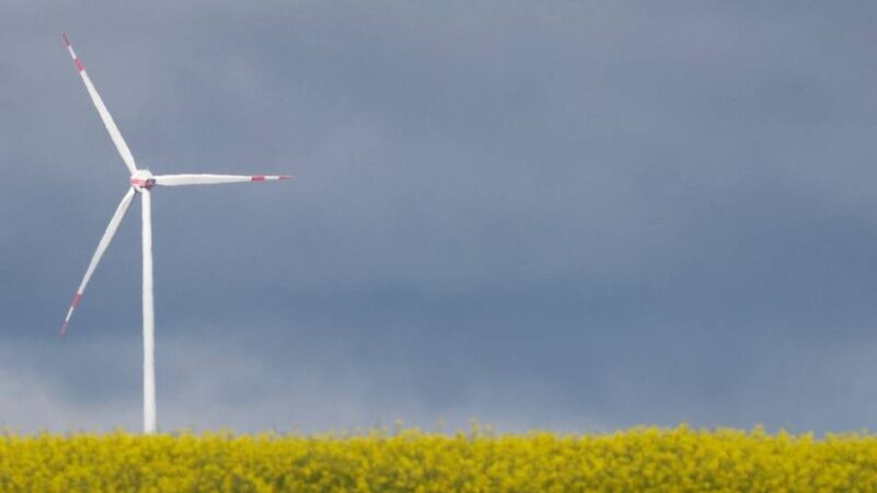 Energieversorgung in Moers: Grüne wollen Windrad auf dem Kohlenhuck