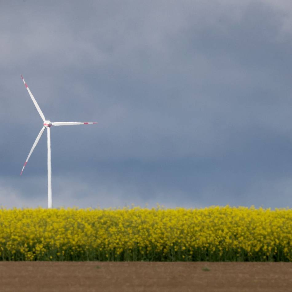 Energieversorgung in Moers: Grüne wollen Windrad auf dem Kohlenhuck