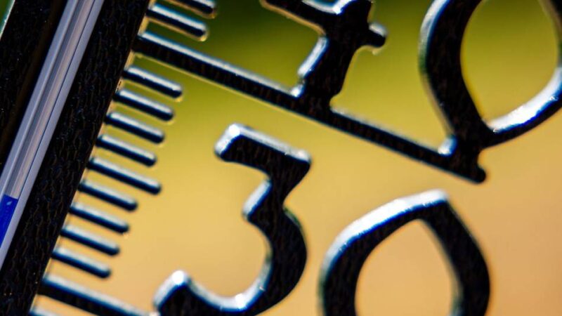 Wenige Ideen vom Hitzeaktionsplan umgesetzt: Appelle an die Bürger allein reichen nicht aus