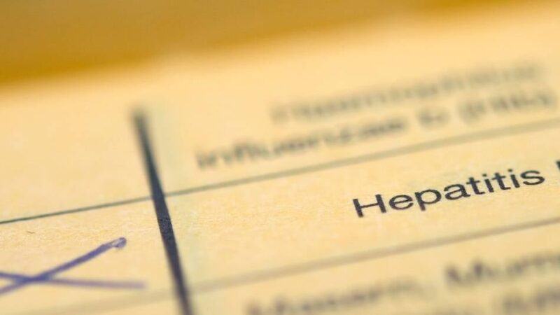 Kreisgesundheitsamt Mettmann: Wie man Hepatitis erkennen, vorbeugen und behandeln kann