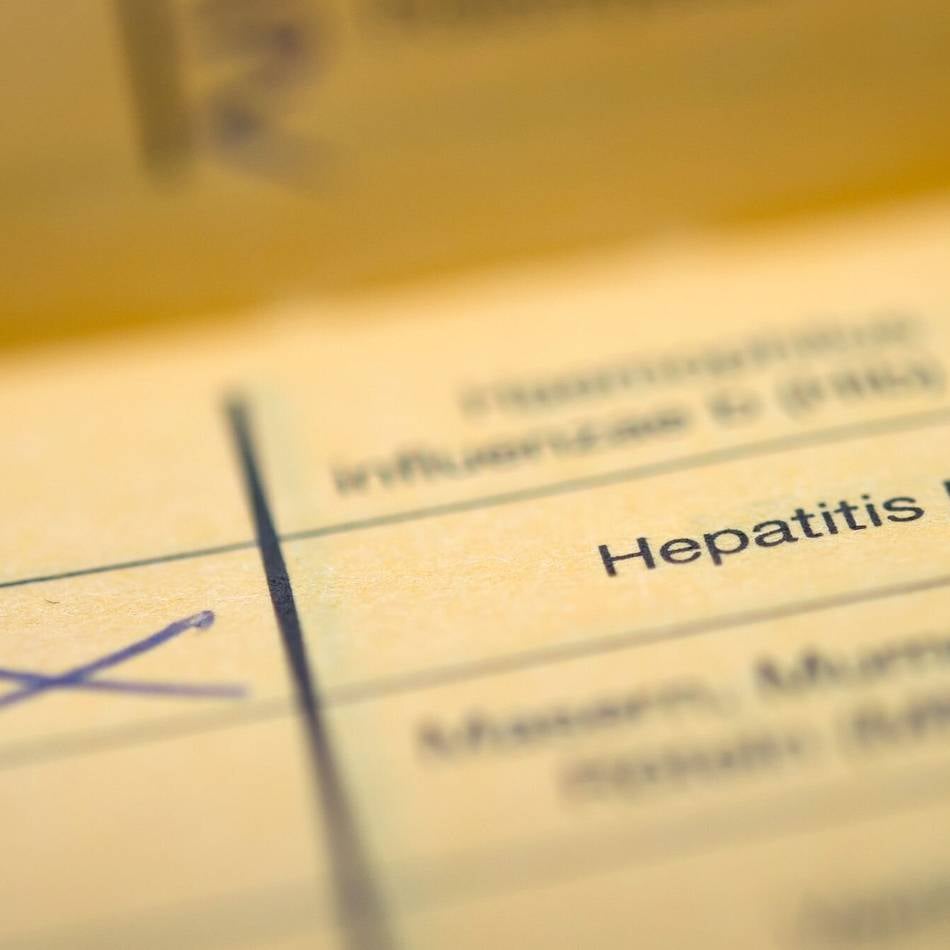 Kreisgesundheitsamt Mettmann: Wie man Hepatitis erkennen, vorbeugen und behandeln kann