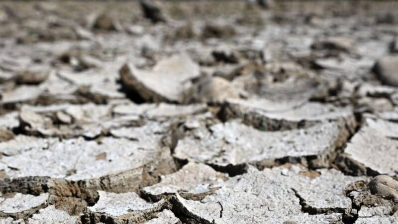 Rhein vor Niedrigwasser-Rekord: „Ein Totalausfall der Schifffahrt würde 3000 Tanklaster erfordern“