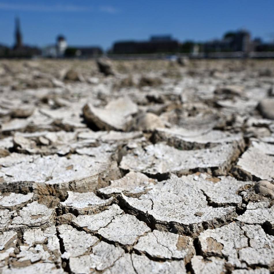 Rhein vor Niedrigwasser-Rekord: „Ein Totalausfall der Schifffahrt würde 3000 Tanklaster erfordern“