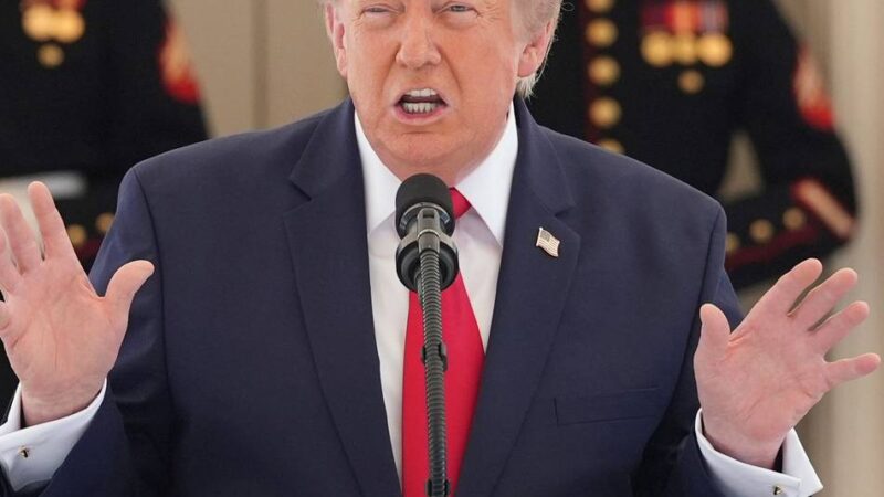Prof. Strassers Buch über Trumpismus: USA im kollektiven Ausnahmezustand – Forscher analysieren Trump
