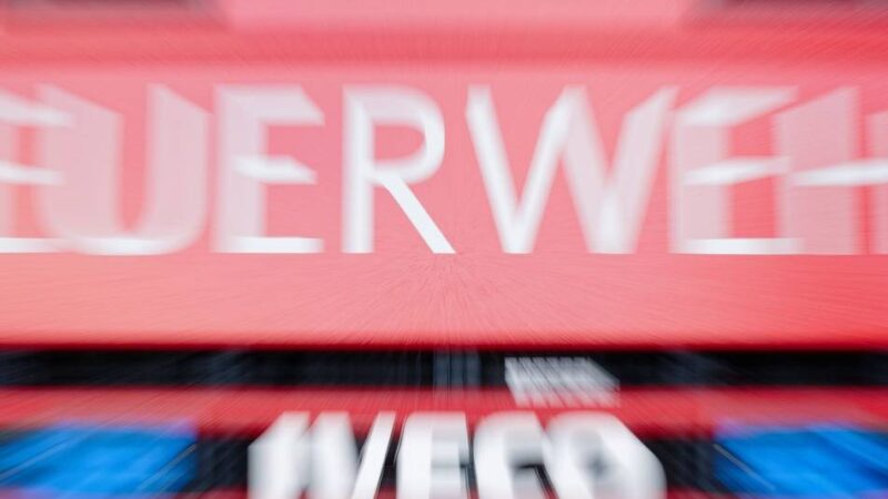 Nähe Pestalozziweg in Beberich: Brand im Wald – Zigarettenkippe gefunden