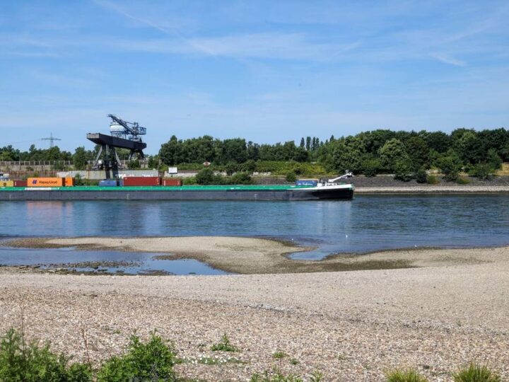 Am Ufer in Hochfeld: Sportboot treibt auf dem Rhein — Feuerwehr muss Besatzung retten