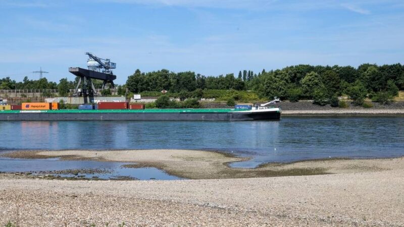 Am Ufer in Hochfeld: Sportboot treibt auf dem Rhein — Feuerwehr muss Besatzung retten