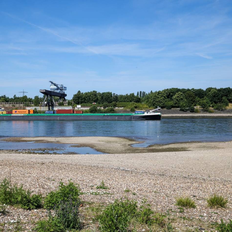 Am Ufer in Hochfeld: Sportboot treibt auf dem Rhein — Feuerwehr muss Besatzung retten