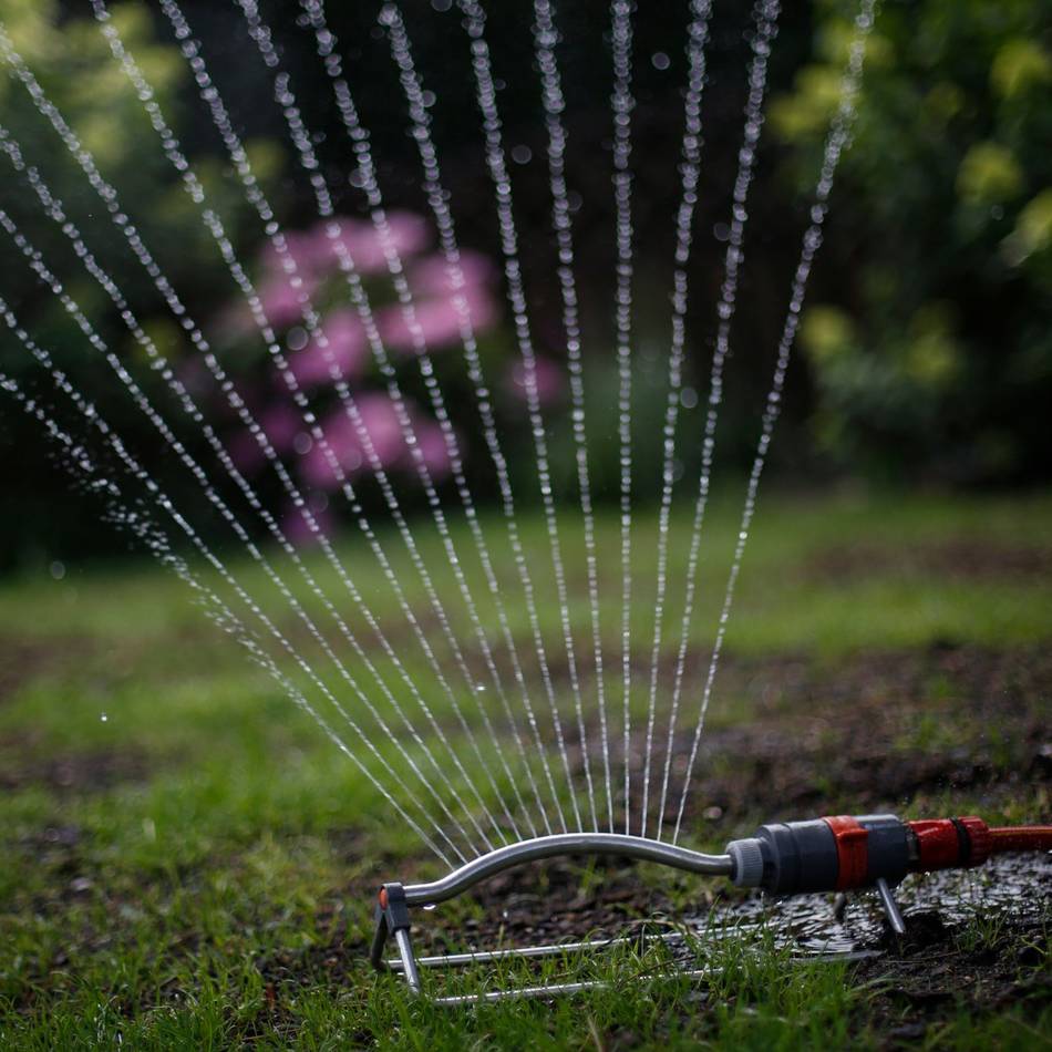 Trockenheit im Garten – Sonsbecker Profi gibt Tipps: „Es lohnt sich, den Rasen zu hinterfragen“