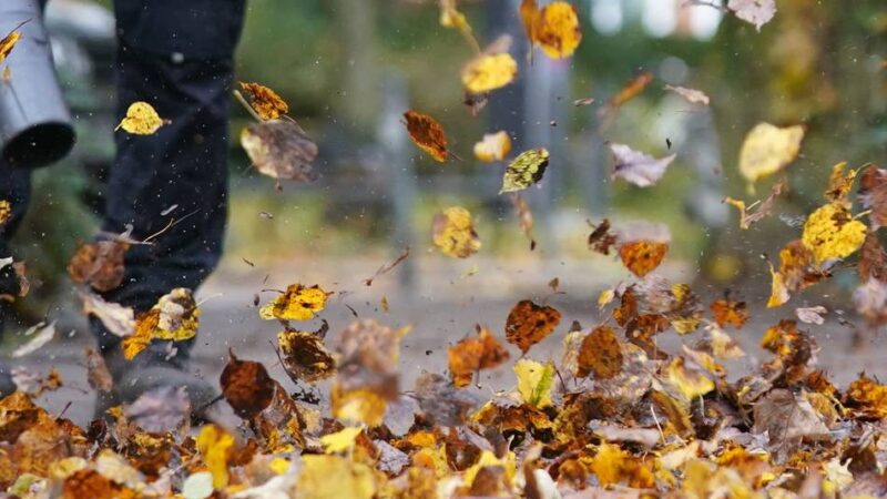 Pilotprojekt in Moers: Enni testet Laubkörbe gegen verstopfte Gullys