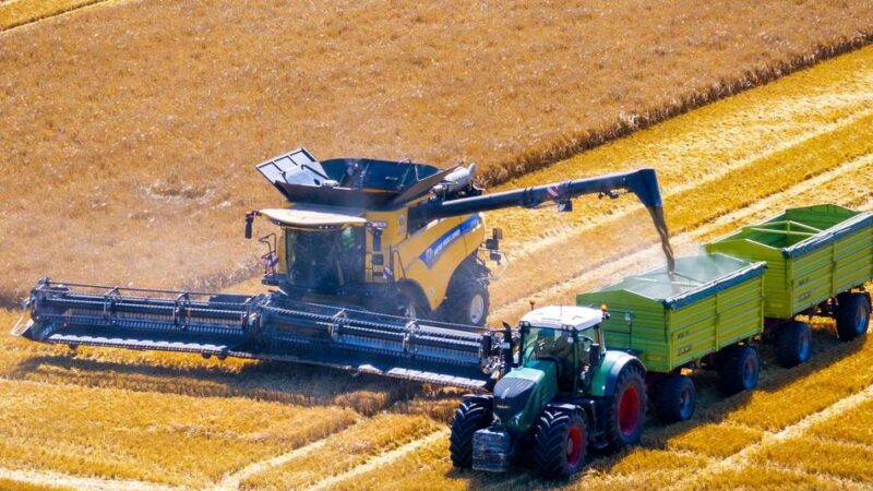 Ernte im Kreis Mettmann: Das Getreide war rund drei Wochen früher reif
